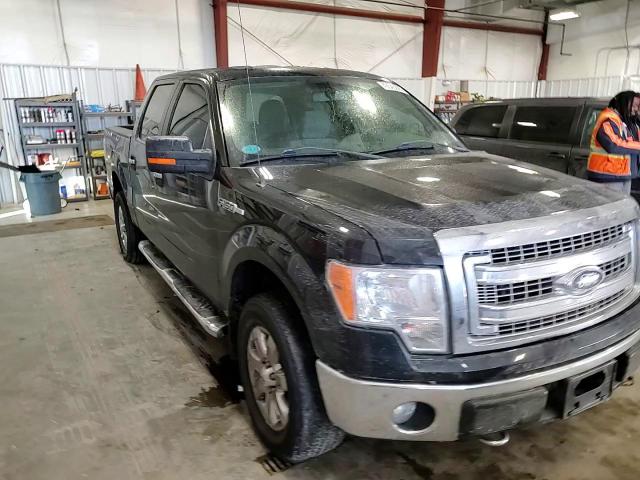 2013 Ford F-150 VIN 1FTFW1EF7DFD24898 Copart auction photo, rear end / undercarriage damage thumbnail 10