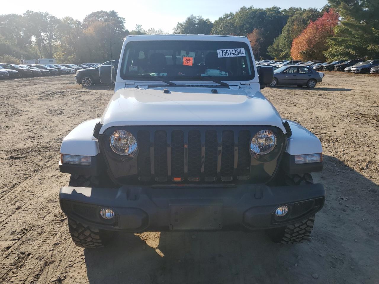 2021 Jeep Gladiator VIN 1C6HJTAG7ML557920 Copart auction photo, biohazard/chemical damage thumbnail 5