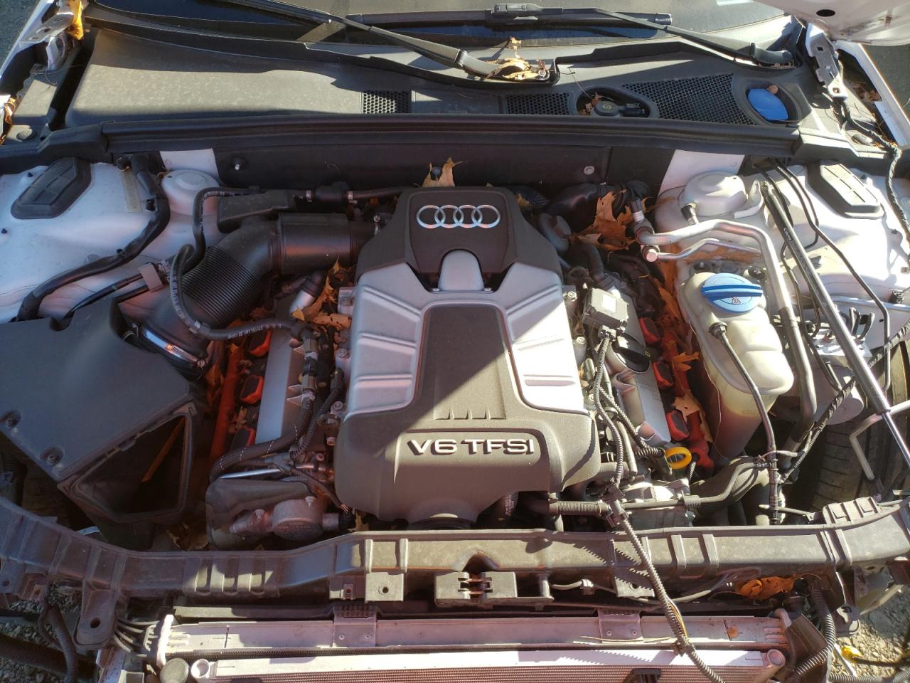 2014 Audi RS4 VIN WAUBGAFL2EA057620 Copart auction photo, front end / minor dent/scratches damage thumbnail 11
