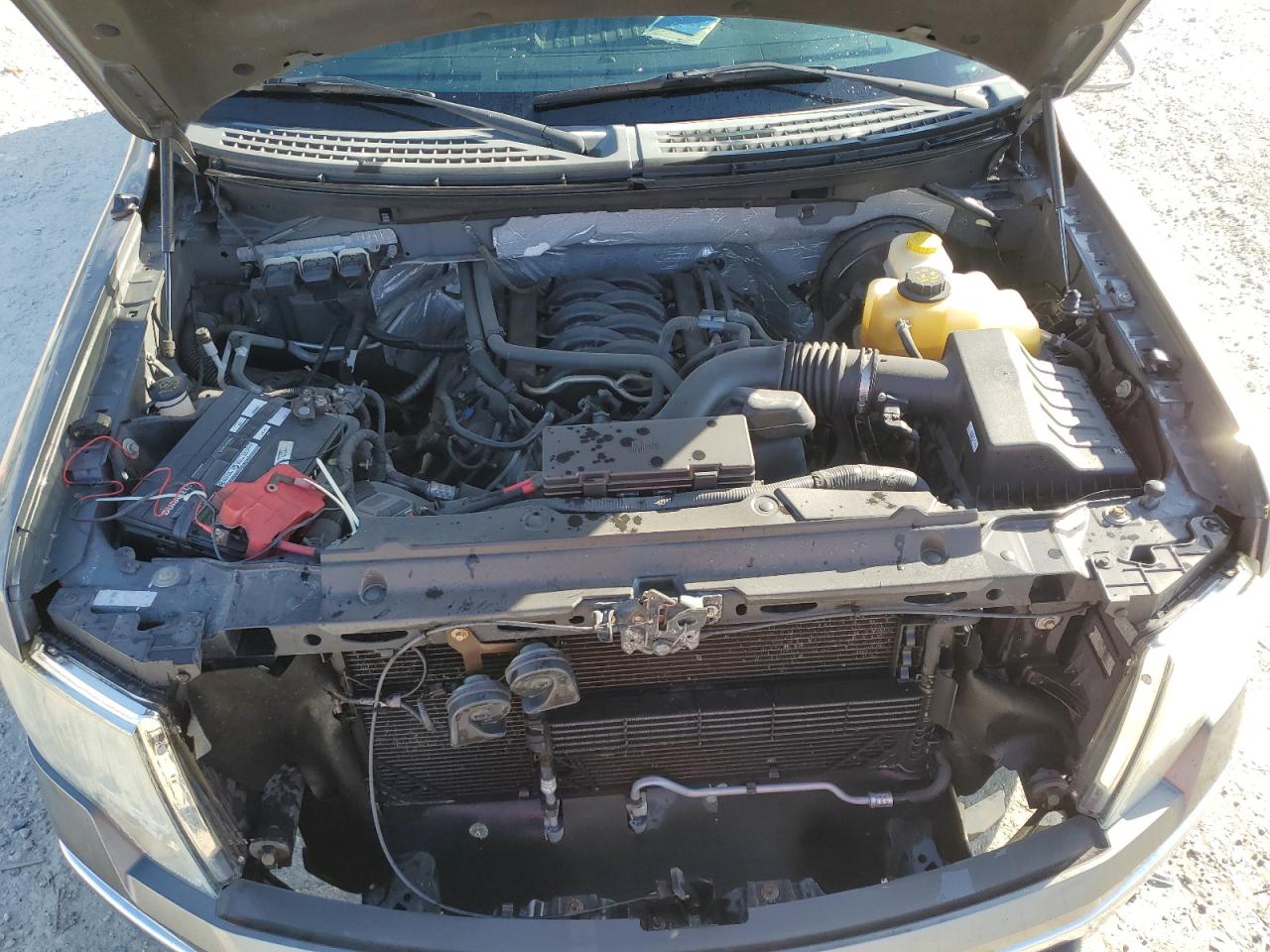 2014 Ford F-150 VIN 1FTFX1CF3EFA07900 Copart auction photo, rear end / minor dent/scratches damage thumbnail 11