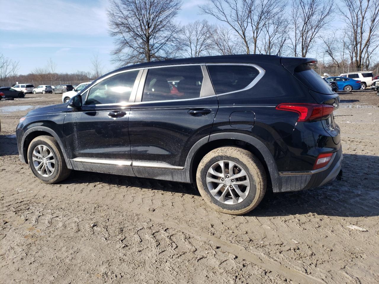 2019 Hyundai Santa Fe VIN 5NMS2CAD1KH001439 Copart auction photo, side / minor dent/scratches damage thumbnail 2