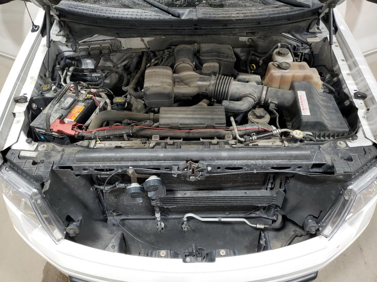 2010 Ford F-150 VIN 1FTFW1EV8AFD11726 Copart auction photo, side damage thumbnail 11