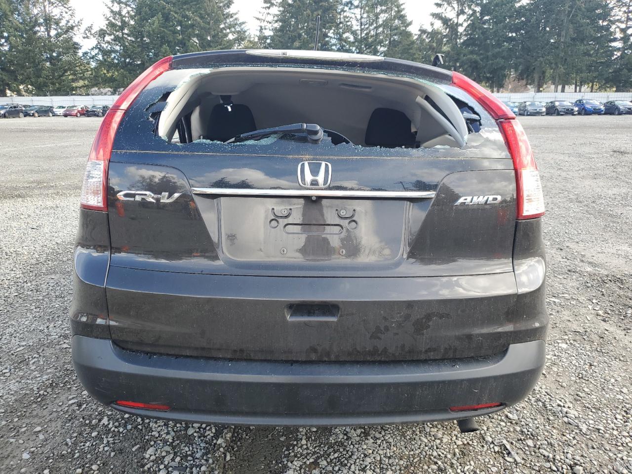 2014 Honda CR-V VIN 2HKRM4H33EH679483 Copart auction photo, top/roof / side damage thumbnail 6