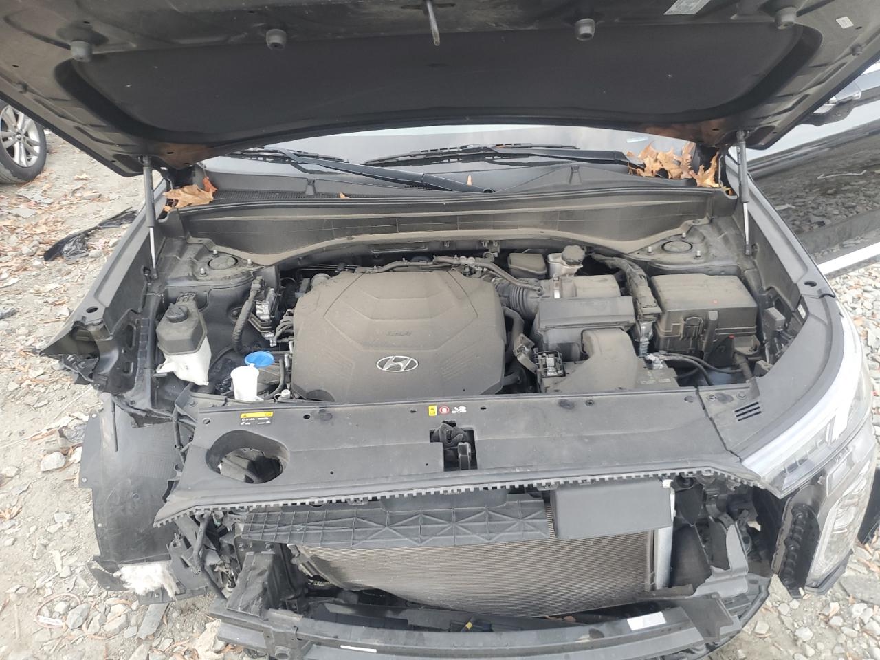 2020 Hyundai Palisade VIN KM8R5DHEXLU044421 Copart auction photo, front end damage thumbnail 13