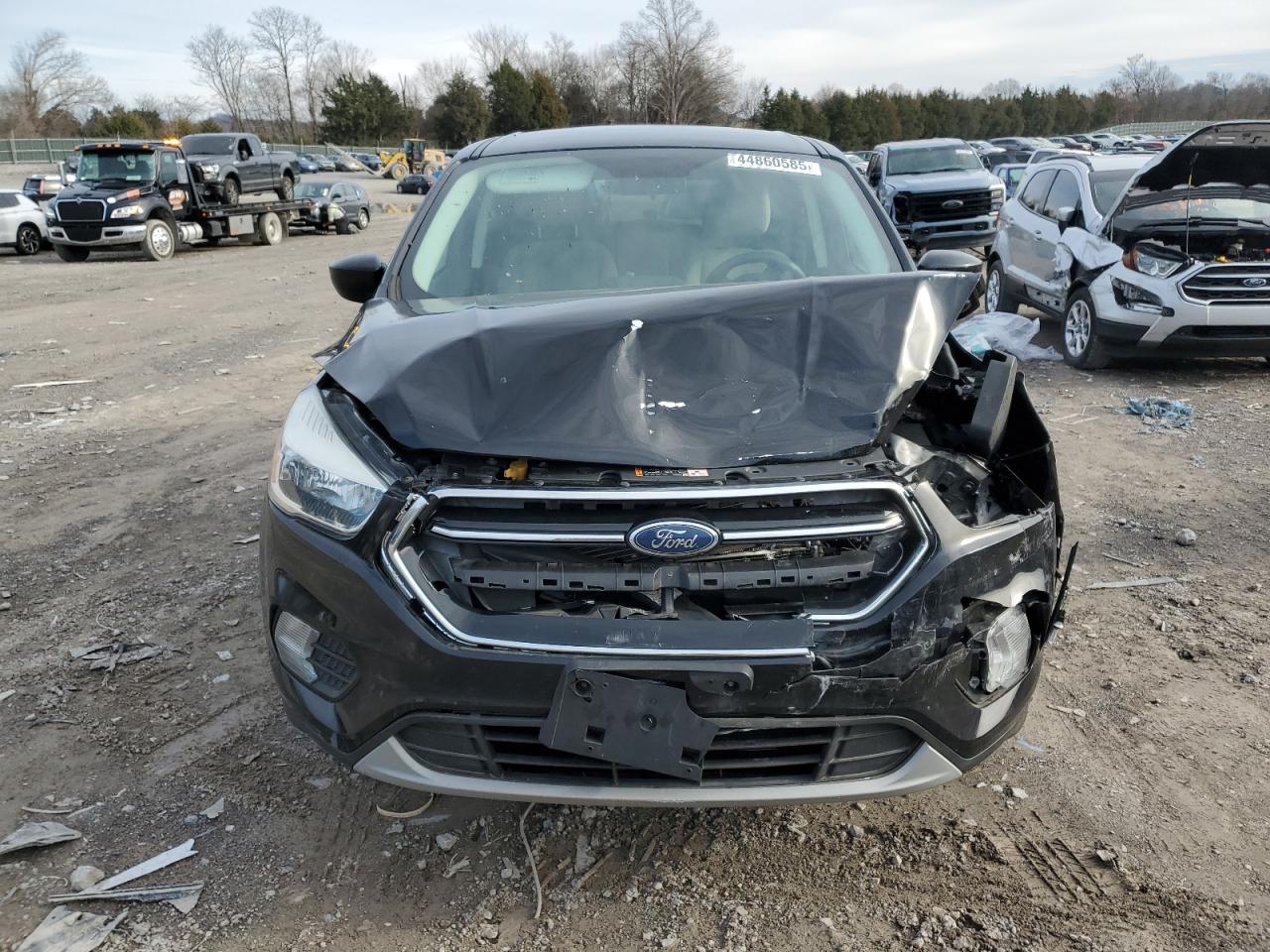 2019 Ford Escape VIN 1FMCU9GDXKUB99791 Copart auction photo, front end / mechanical damage thumbnail 5