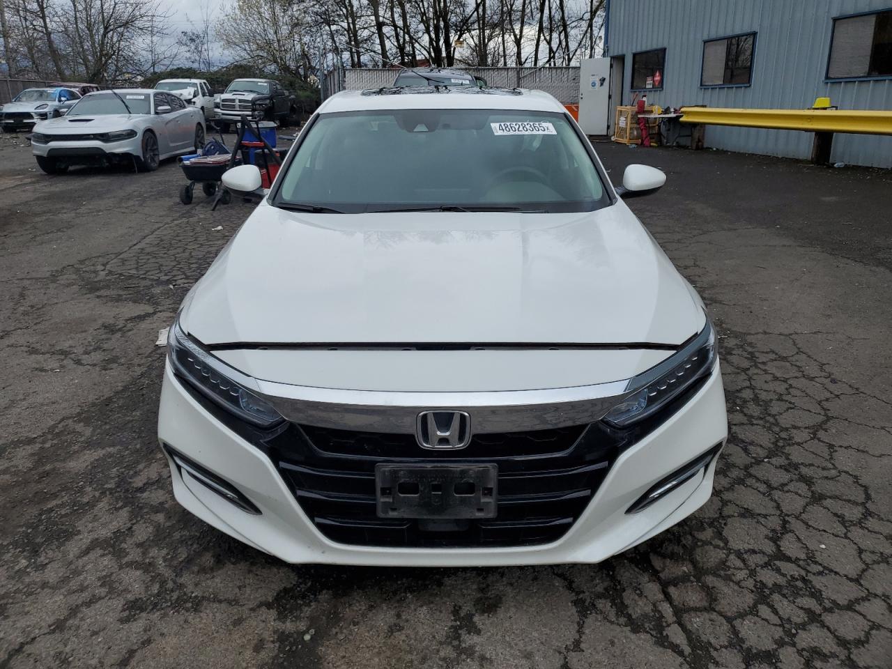 2019 Honda Accord VIN 1HGCV3F4XKA010902 Copart auction photo, side / mechanical damage thumbnail 5