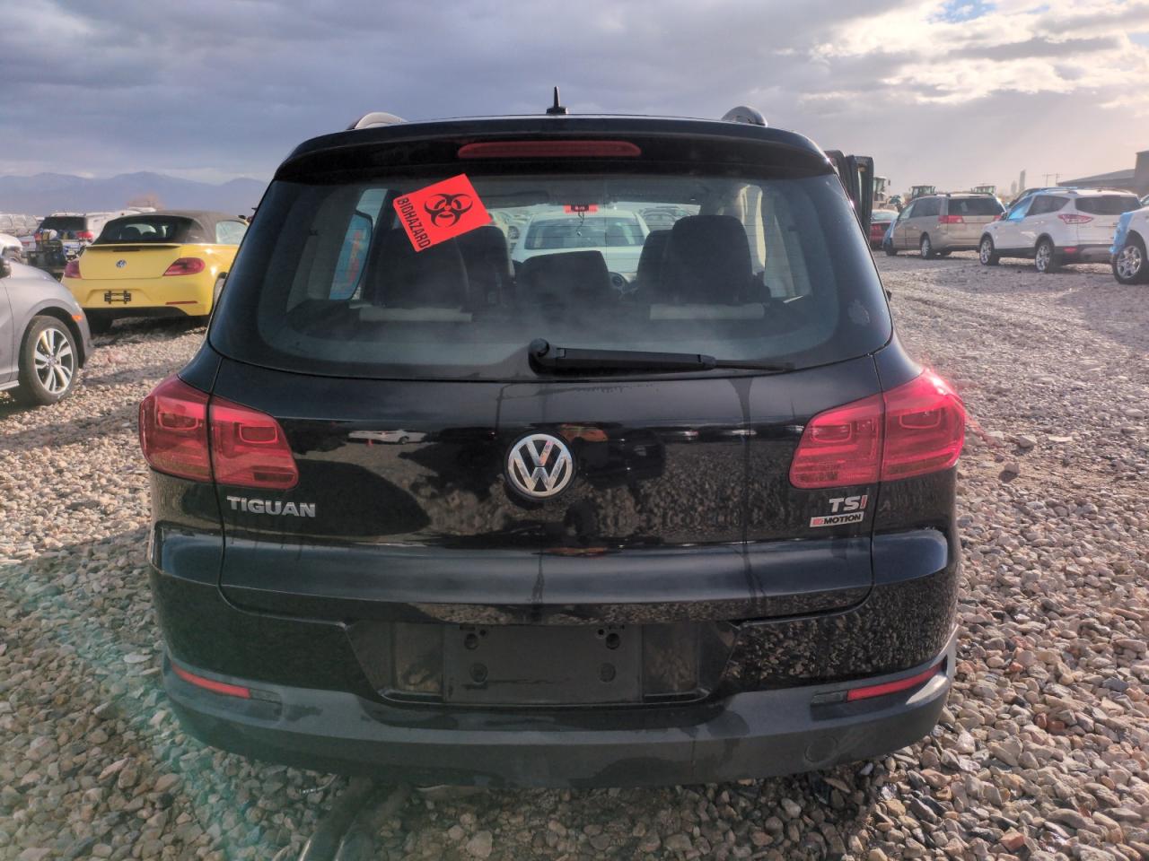 2016 Volkswagen Tiguan VIN WVGBV7AX1GW597922 Copart auction photo, side damage thumbnail 6