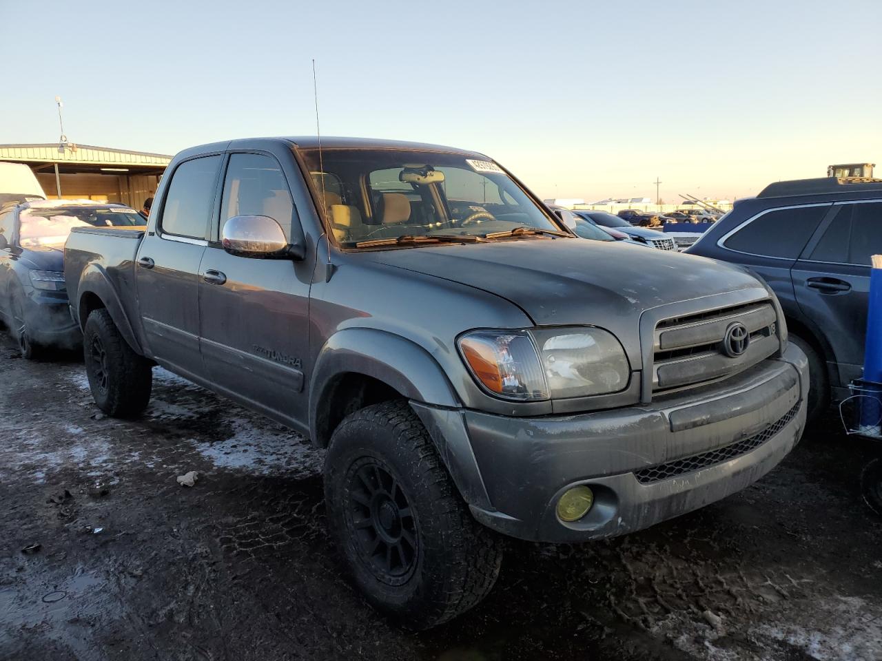2006 Toyota Tundra VIN 5TBDT44166S521452 Copart auction photo, all over damage thumbnail 4