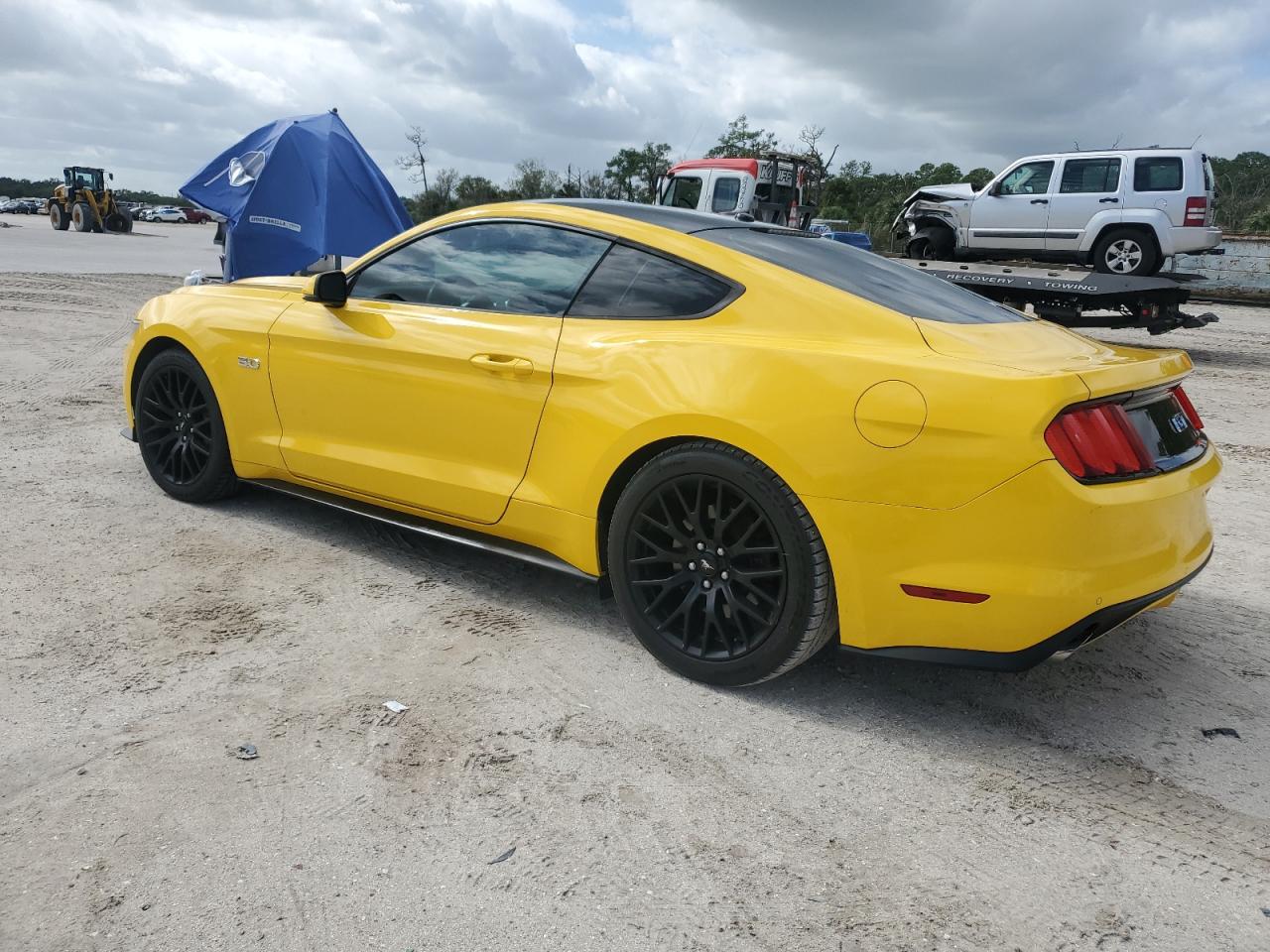 2016 Ford Mustang VIN 1FA6P8CF9G5224391 Copart auction photo, side damage thumbnail 2