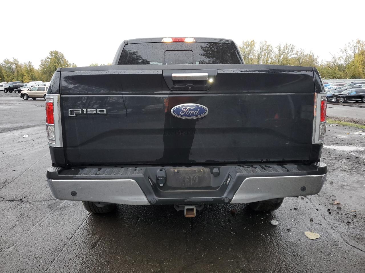 2016 Ford F-150 VIN 1FTEW1EG8GFC19005 Copart auction photo, front end / side damage thumbnail 6