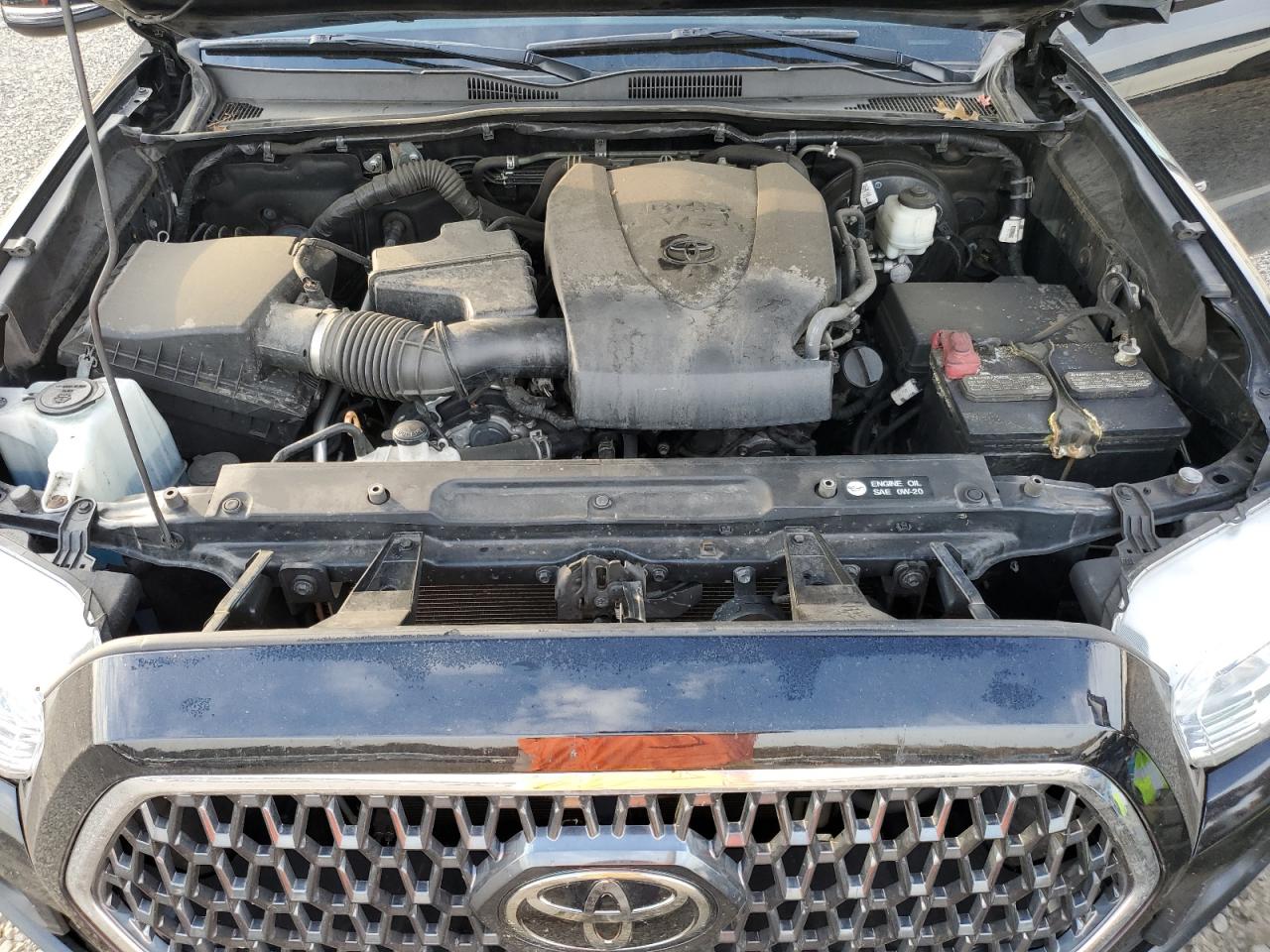 2019 Toyota Tacoma VIN 5TFSZ5AN6KX192525 Copart auction photo, side damage thumbnail 12