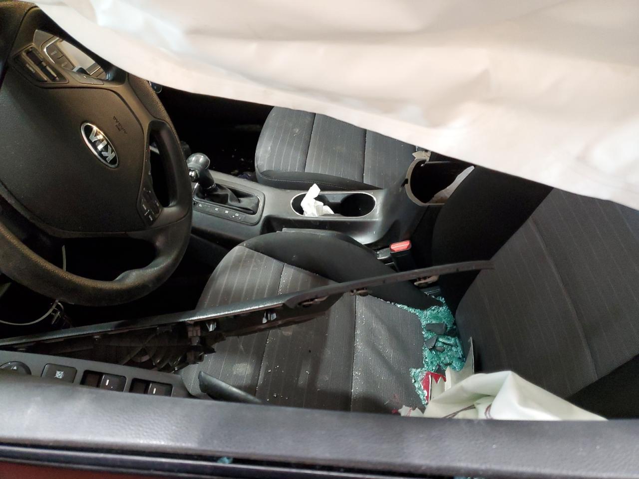 2016 KIA Forte VIN KNAFX4A62G5537513 Copart auction photo, side / hail damage thumbnail 7