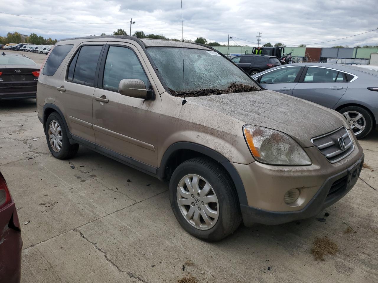 2006 Honda CR-V VIN SHSRD78996U420267 Copart auction photo, minor dent/scratches damage thumbnail 4