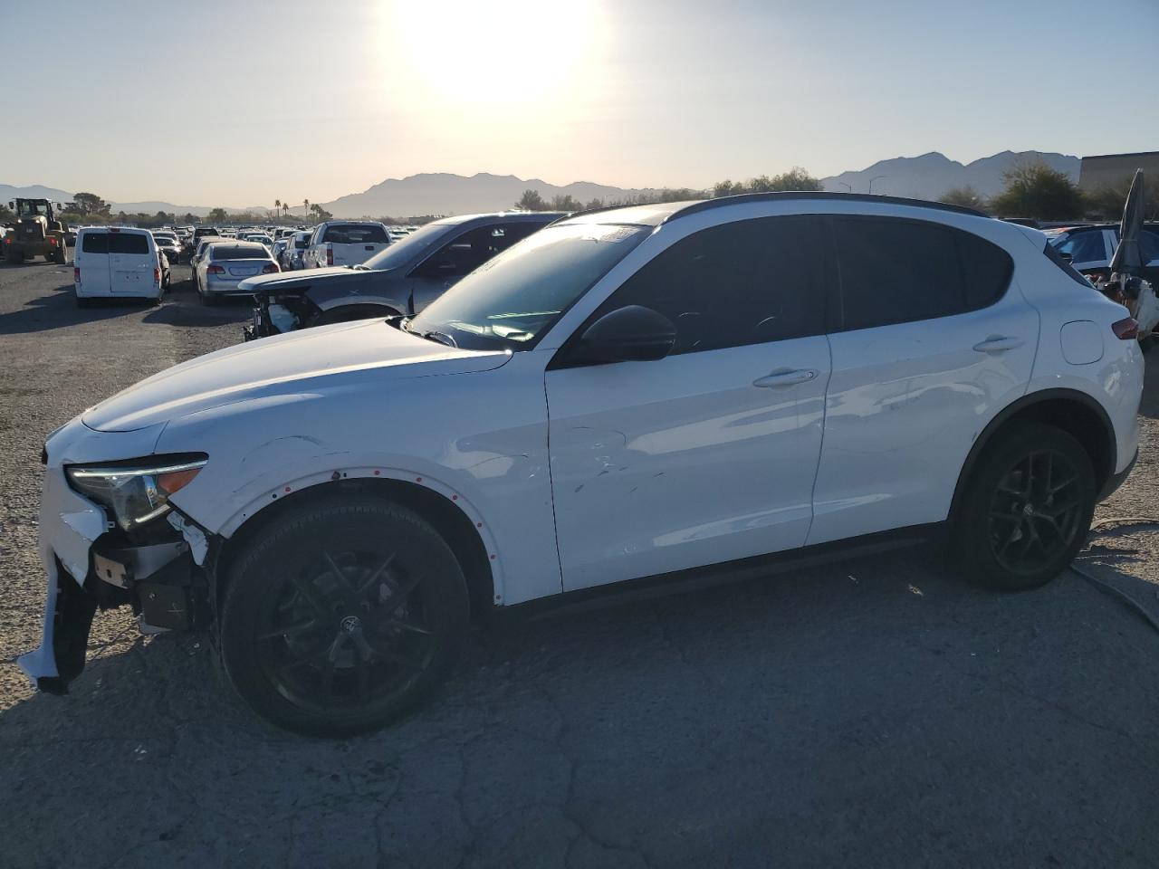 2021 Alfa Romeo Stelvio VIN ZASPAJAN8M7D00921 - Copart auction photo