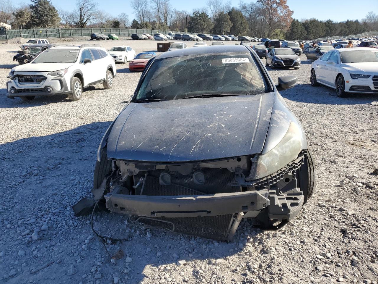 2010 Honda Accord VIN 1HGCP2F36AA141920 Copart auction photo, all over damage thumbnail 5