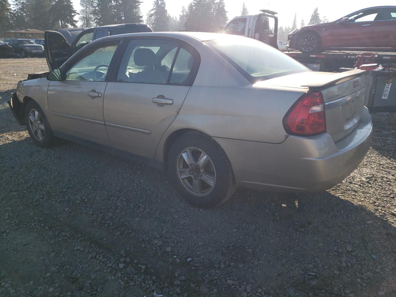 2005 Chevrolet Malibu VIN 1G1ZT54855F193691 Copart auction photo, front end damage thumbnail 2