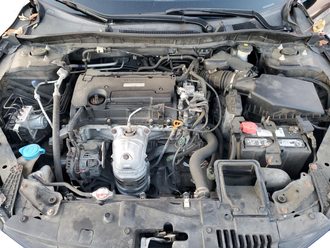 2017 Honda Accord VIN 1HGCR2F35HA040436 Copart auction photo, side damage thumbnail 11