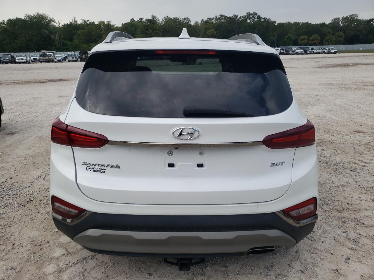 2020 Hyundai Santa Fe VIN 5NMS53AA0LH239118 Copart auction photo, side / front end damage thumbnail 6