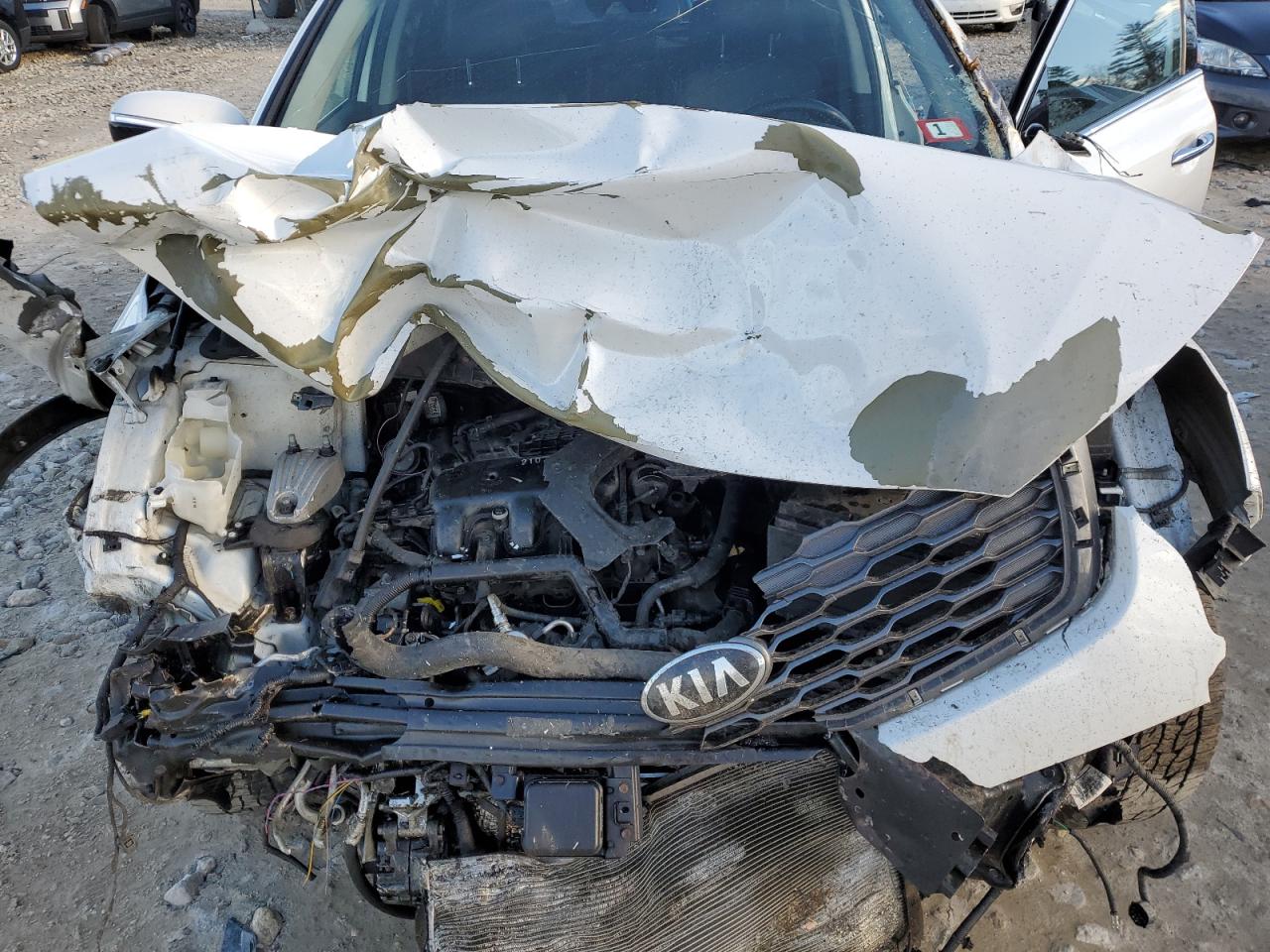 2019 KIA Sorento VIN 5XYPHDA51KG528054 Copart auction photo, front end damage thumbnail 14