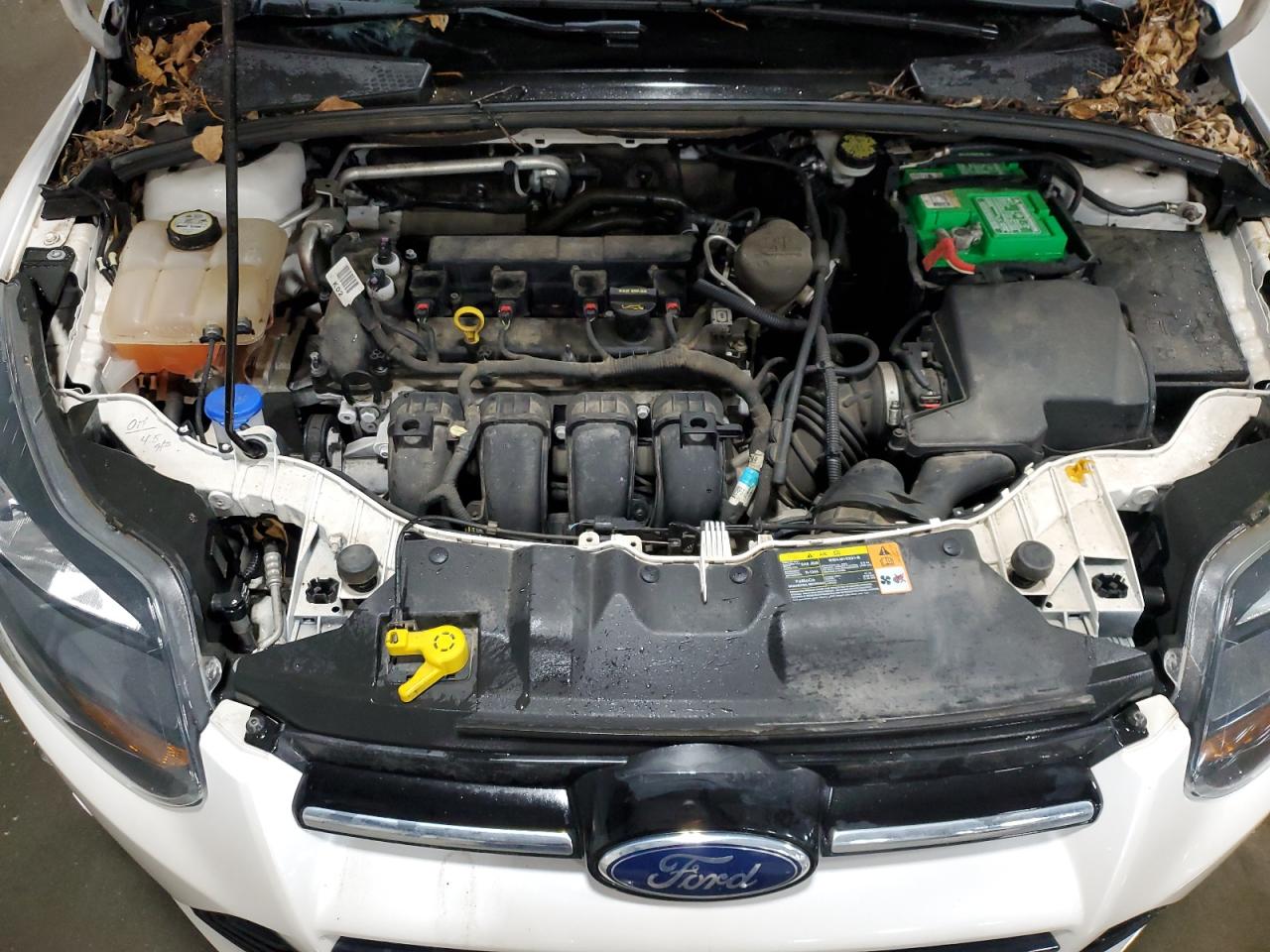 2013 Ford Focus VIN 1FADP3N24DL151913 Copart auction photo, all over damage thumbnail 13