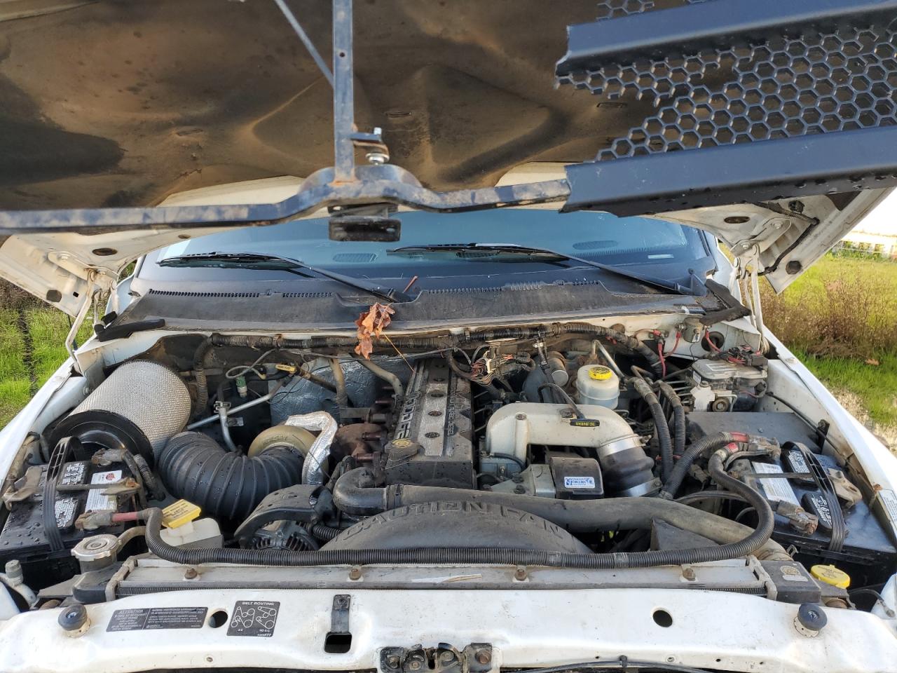 2001 Dodge RAM VIN 1B7MF33611J232152 Copart auction photo, side damage thumbnail 11