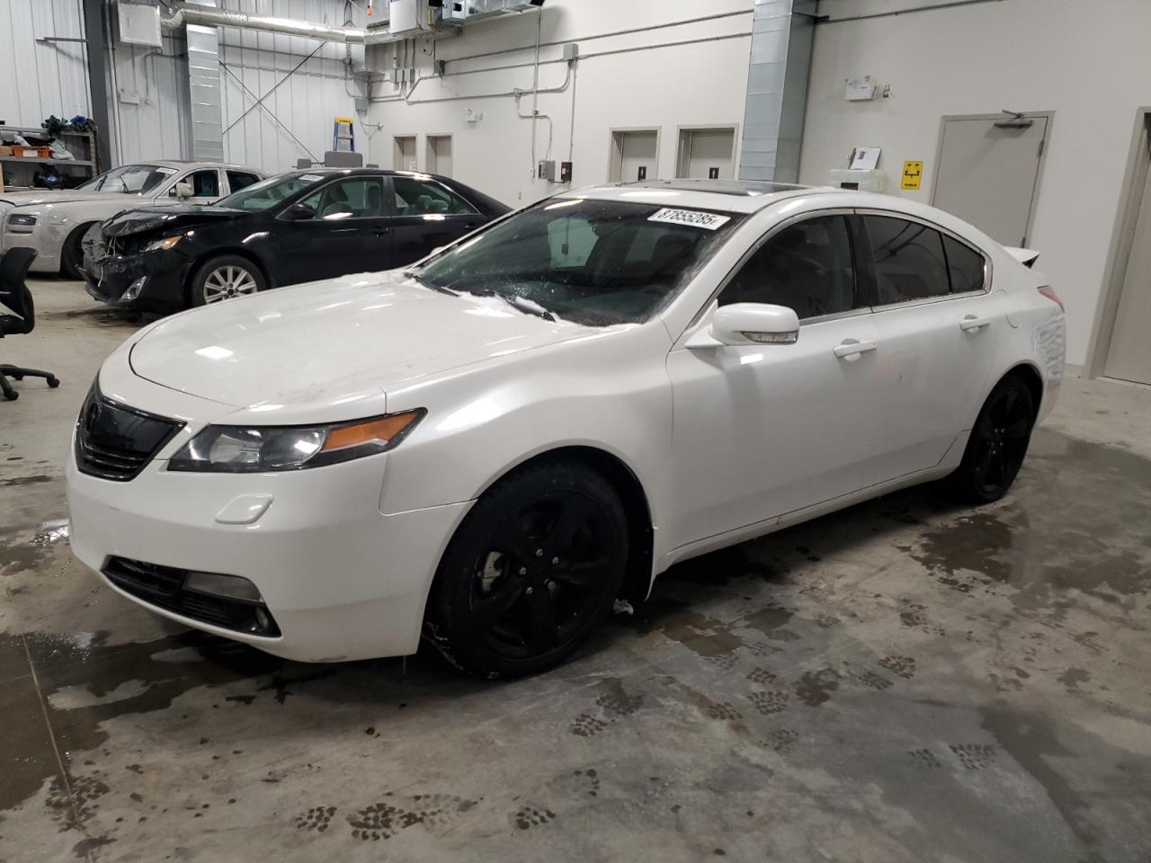 2013 Acura TL VIN 19UUA9F29DA800261