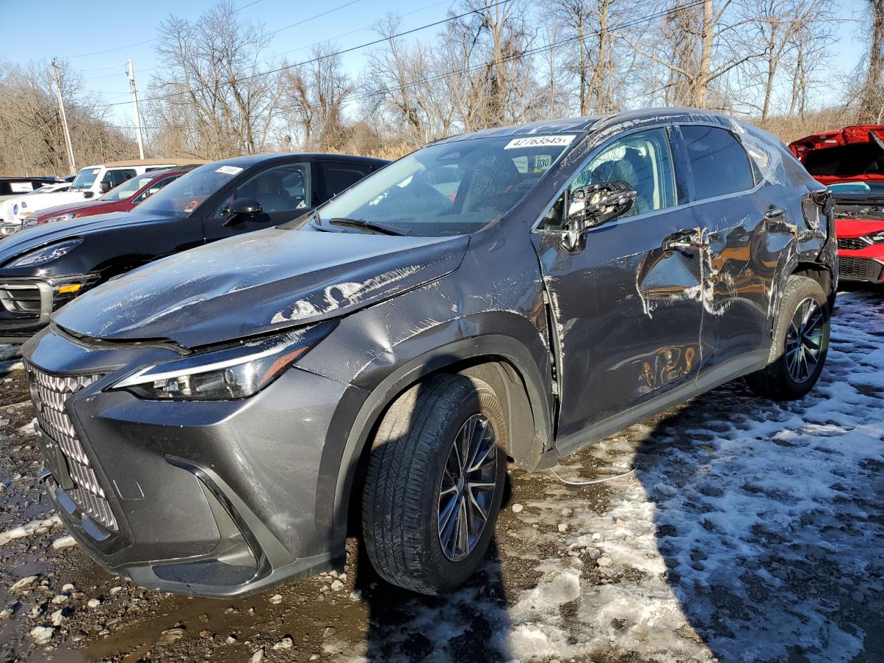 2024 Lexus NX VIN 2T2AGCEZ4RC053310