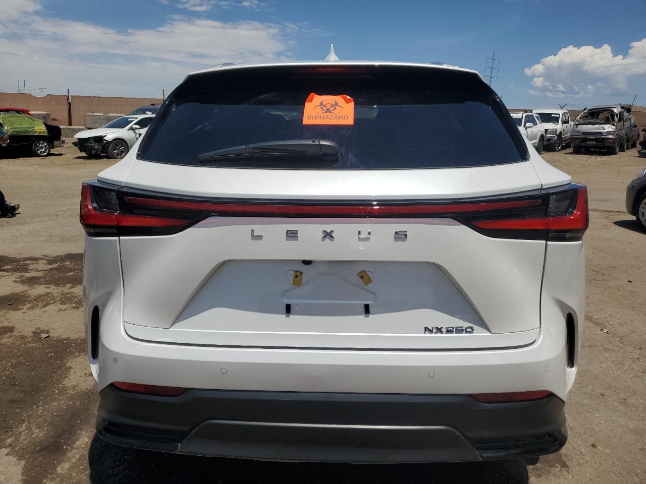 2024 Lexus NX VIN 2T2GDCAZ4RC012524 Copart auction photo, front end damage thumbnail 6