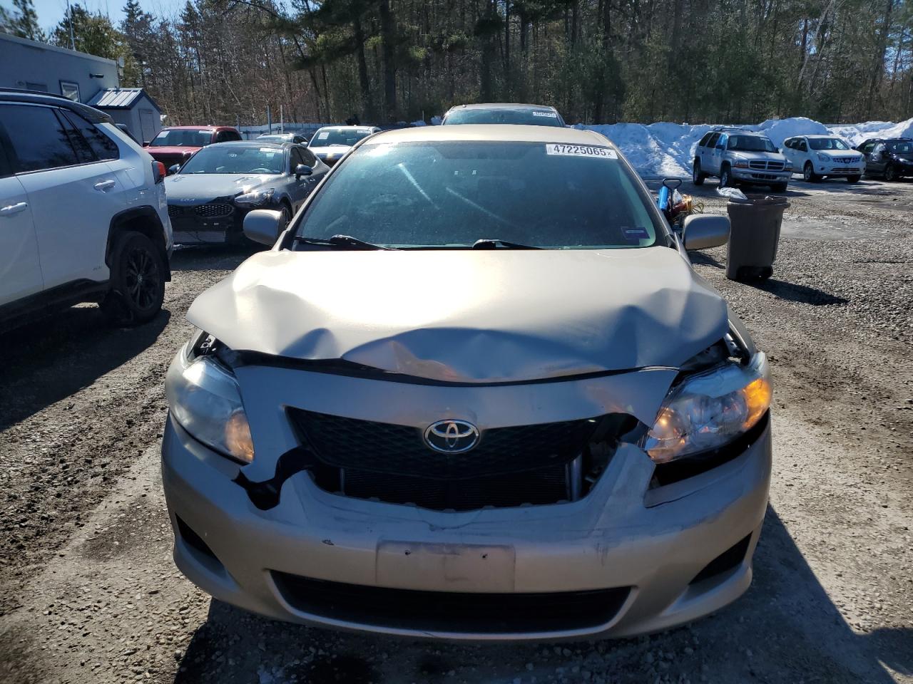 2010 Toyota Corolla VIN 2T1BU4EE0AC289770 Copart auction photo, front end damage thumbnail 5