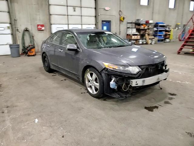2009 Acura TSX VIN JH4CU26659C025513 Copart auction photo, front end / hail damage thumbnail 11