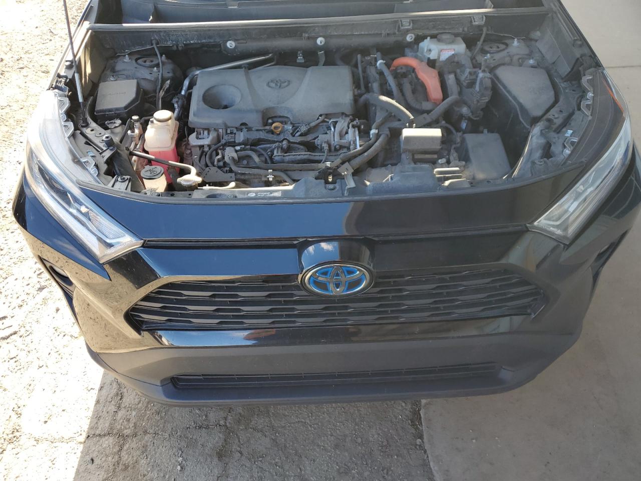 2019 Toyota RAV 4 VIN 2T3RWRFV3KW013613 Copart auction photo, rear end damage thumbnail 14