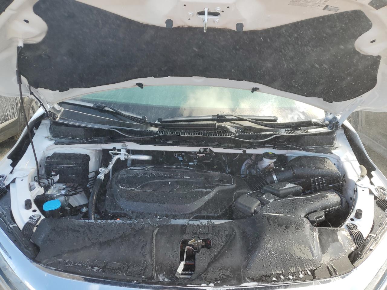 2024 Honda Odyssey VIN 5FNRL6H83RB035612 Copart auction photo, water/flood damage thumbnail 12