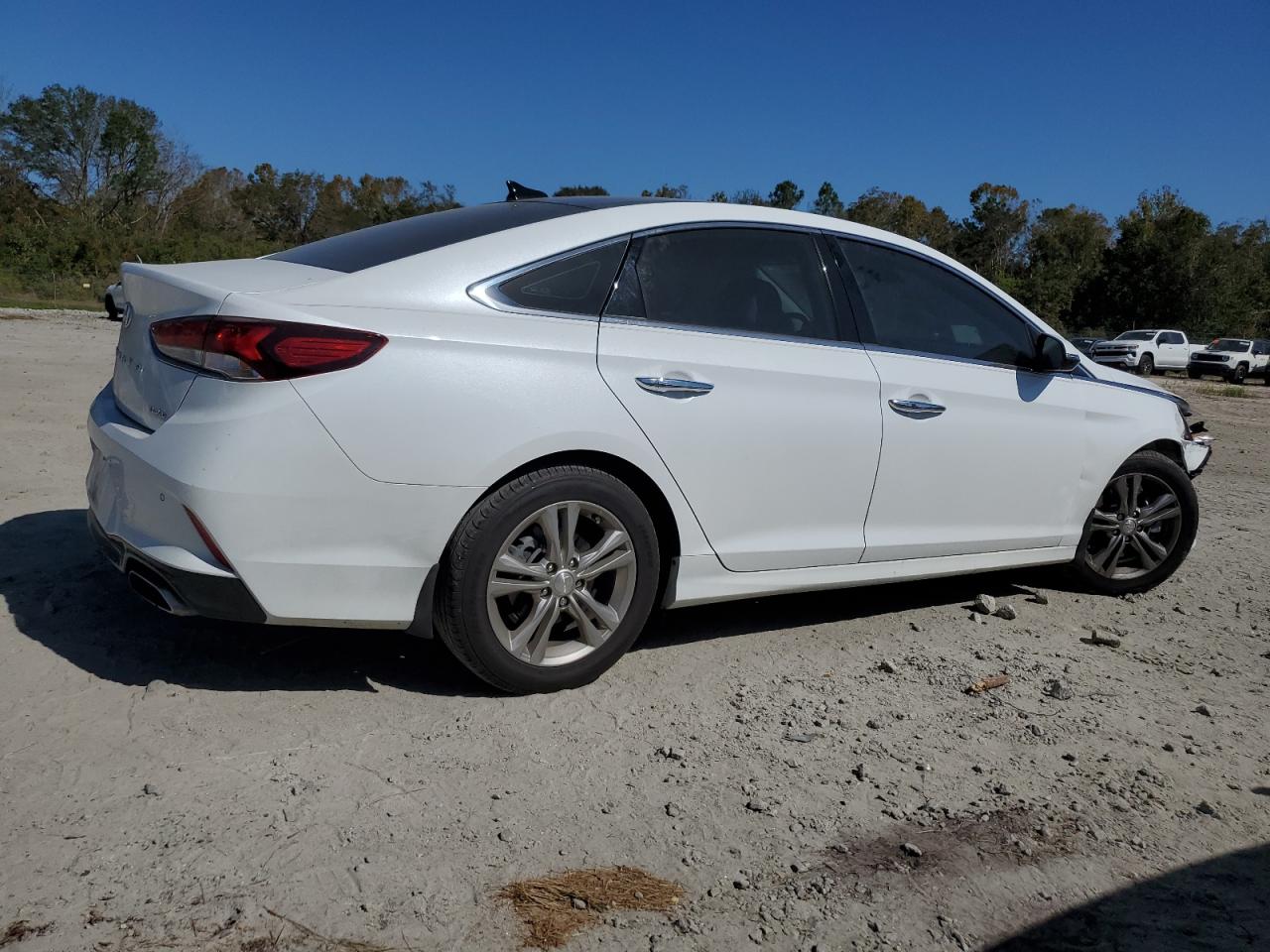 2019 Hyundai Sonata VIN 5NPE34AF5KH773205 Copart auction photo, front end damage thumbnail 3