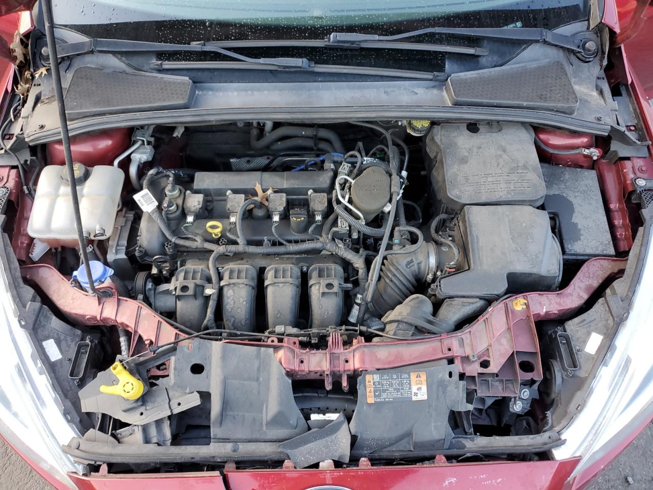 2015 Ford Focus VIN 1FADP3N2XFL372614 Copart auction photo, front end / minor dent/scratches damage thumbnail 11