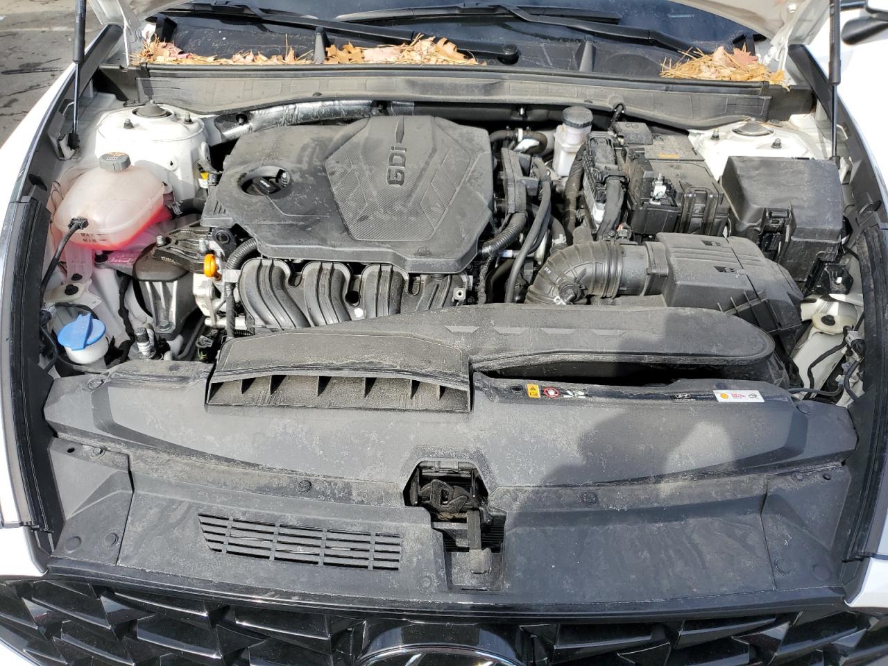 2023 Hyundai Sonata VIN KMHL64JA8PA283323 Copart auction photo, side / rear end damage thumbnail 11