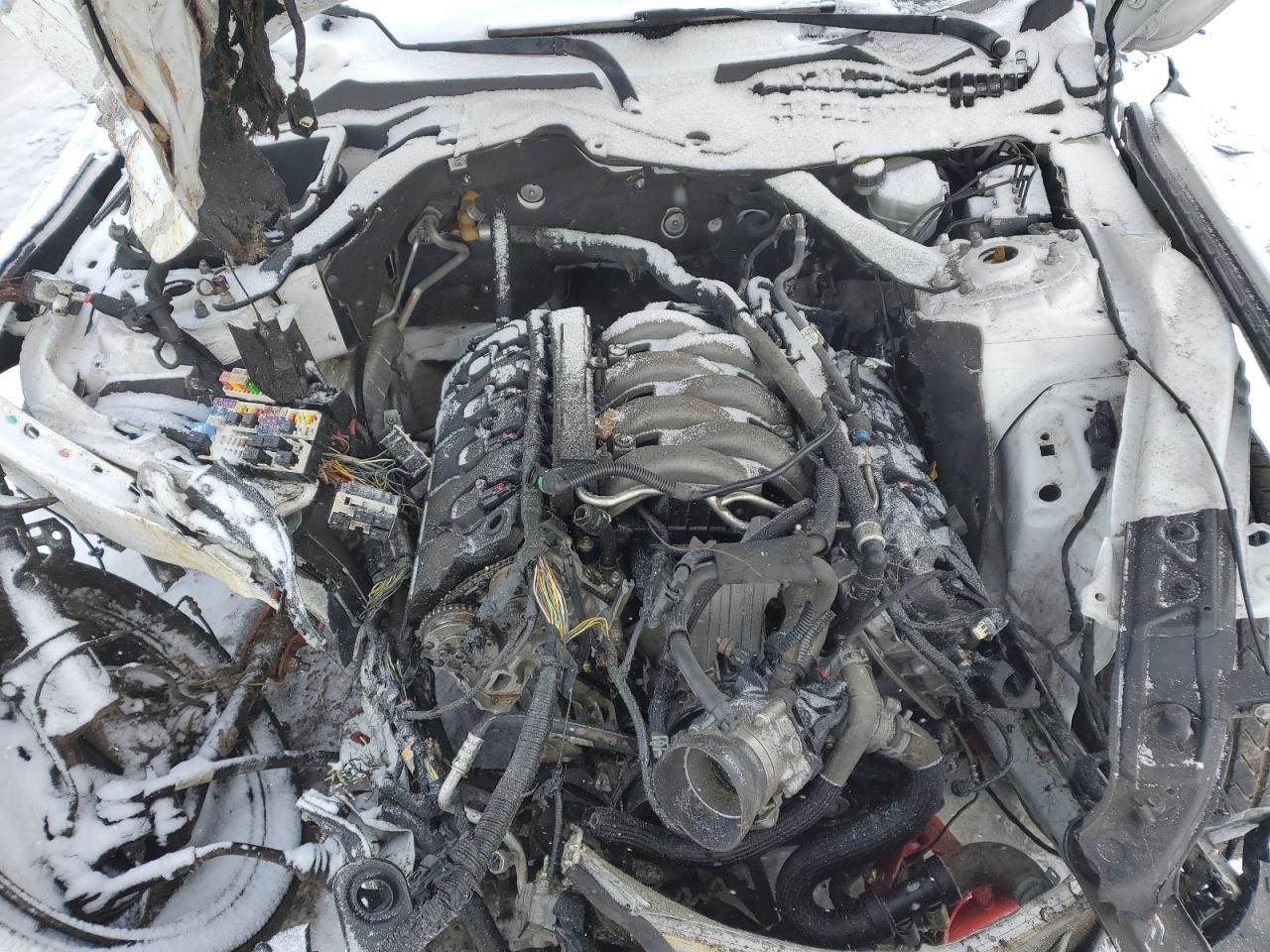 2016 Ford Mustang VIN 1FA6P8CF5G5262037 Copart auction photo, front end / rear end damage thumbnail 11