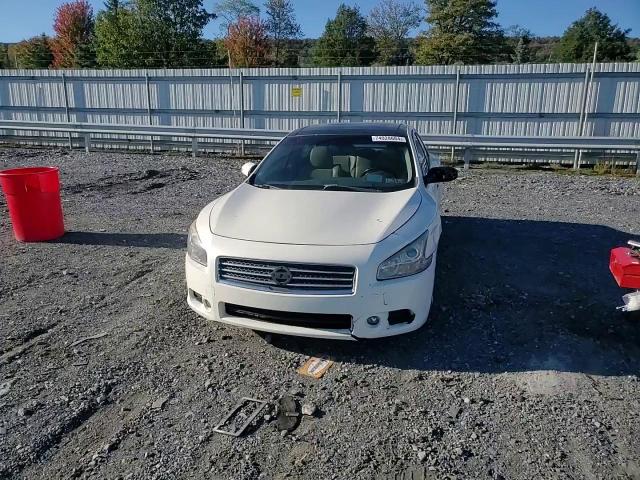 2010 Nissan Maxima VIN 1N4AA5AP8AC846473 Copart auction photo, side damage thumbnail 11