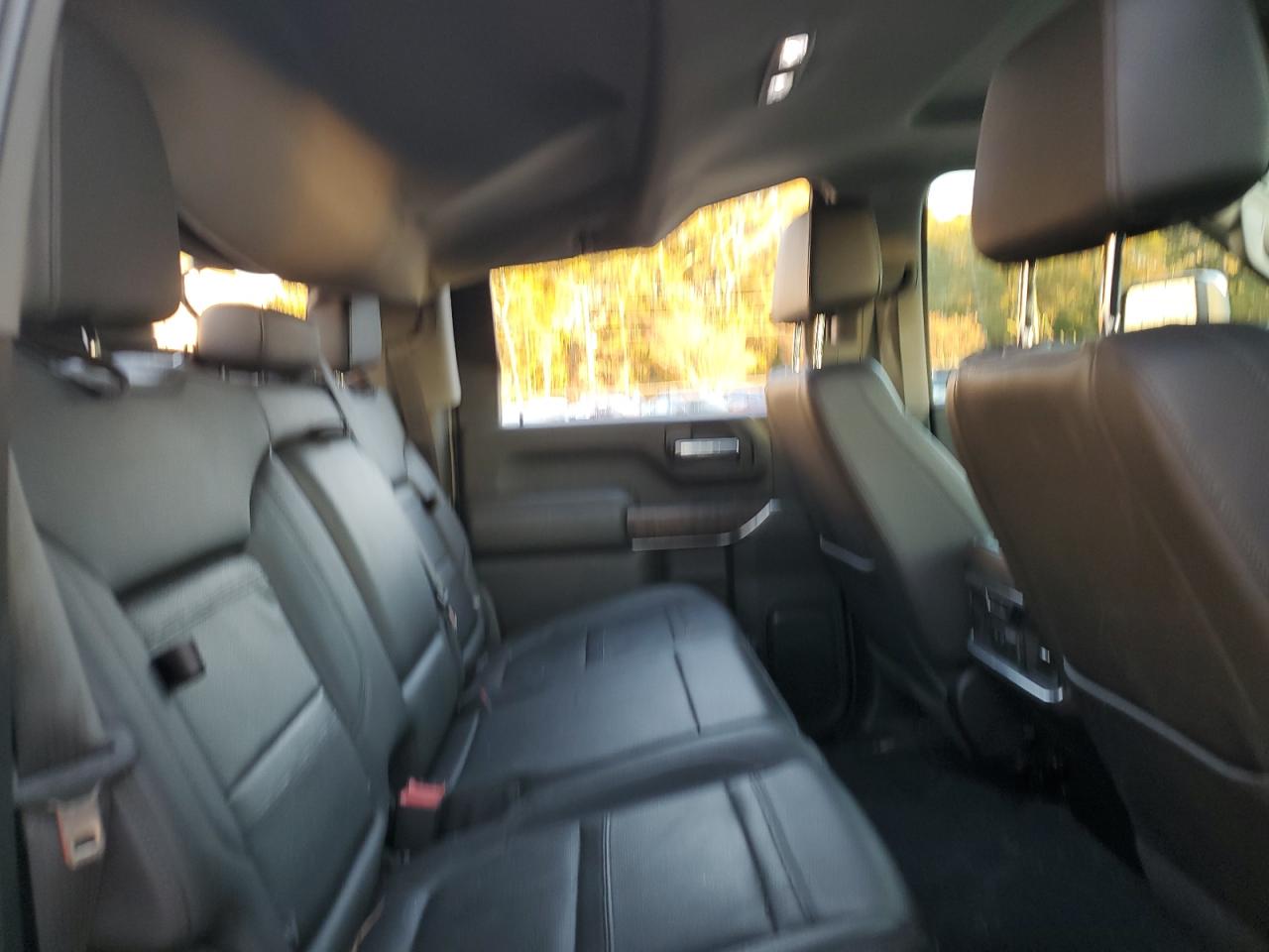 2020 GMC Sierra VIN 1GT49REY3LF344868 Copart auction photo, top/roof damage thumbnail 11