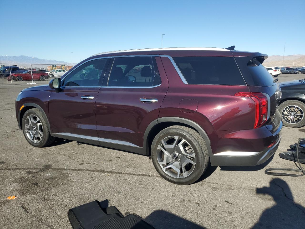 2024 Hyundai Palisade VIN KM8R44GE5RU688759 Copart auction photo, side damage thumbnail 2