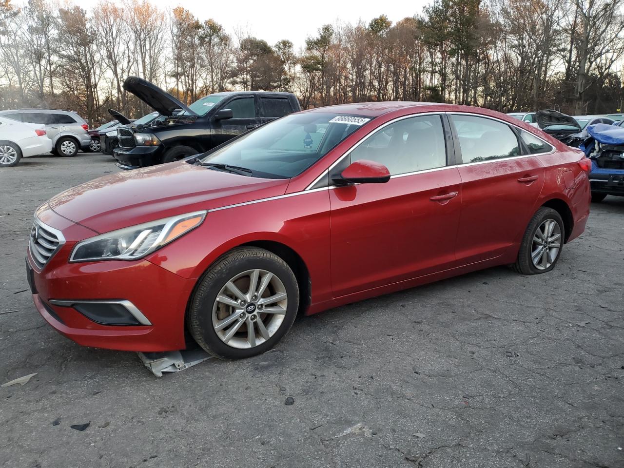 2017 Hyundai Sonata VIN 5NPE24AF4HH516693