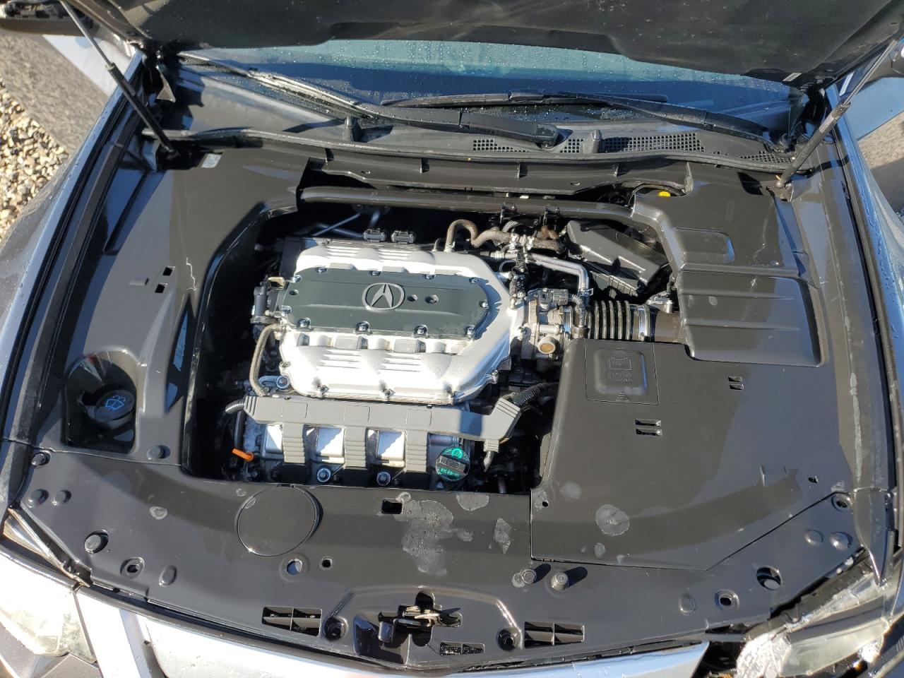 2010 Acura TSX VIN JH4CU4F64AC000389 Copart auction photo, rear end / front end damage thumbnail 11