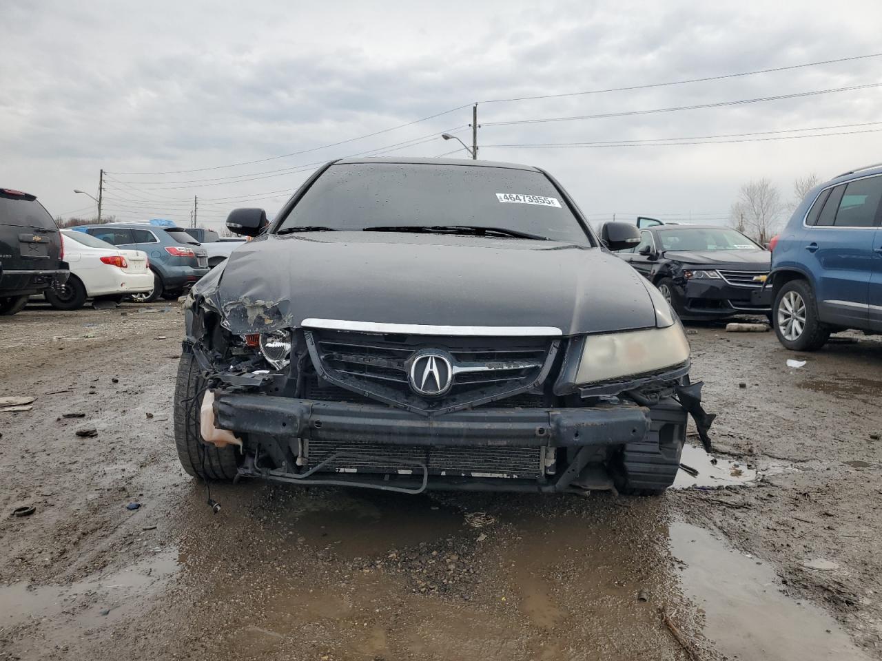 2005 Acura TSX VIN JH4CL96875C023947 Copart auction photo, front end / minor dent/scratches damage thumbnail 5