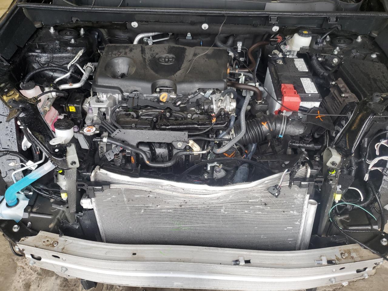2023 Toyota RAV 4 VIN 2T3G1RFV5PC338424 Copart auction photo, front end / top/roof damage thumbnail 13