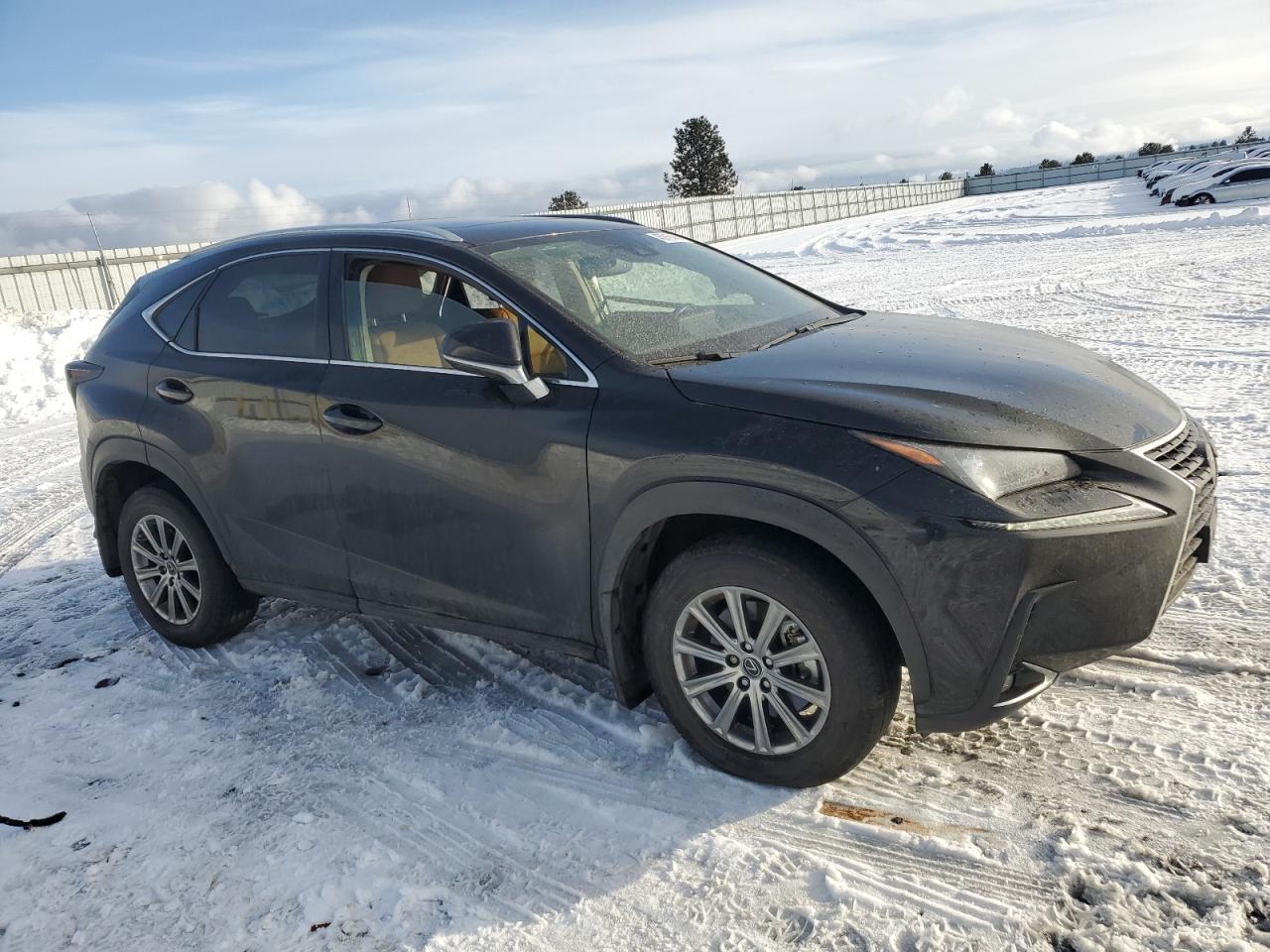 2020 Lexus NX VIN JTJDARDZ3L2225997 Copart auction photo, side damage thumbnail 4
