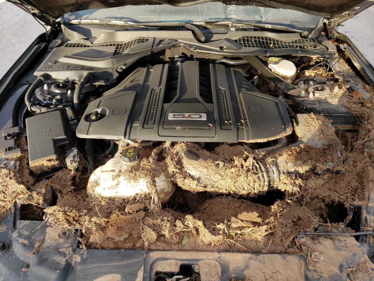 2022 Ford Mustang VIN 1FA6P8CFXN5141212 Copart auction photo, water/flood damage thumbnail 11