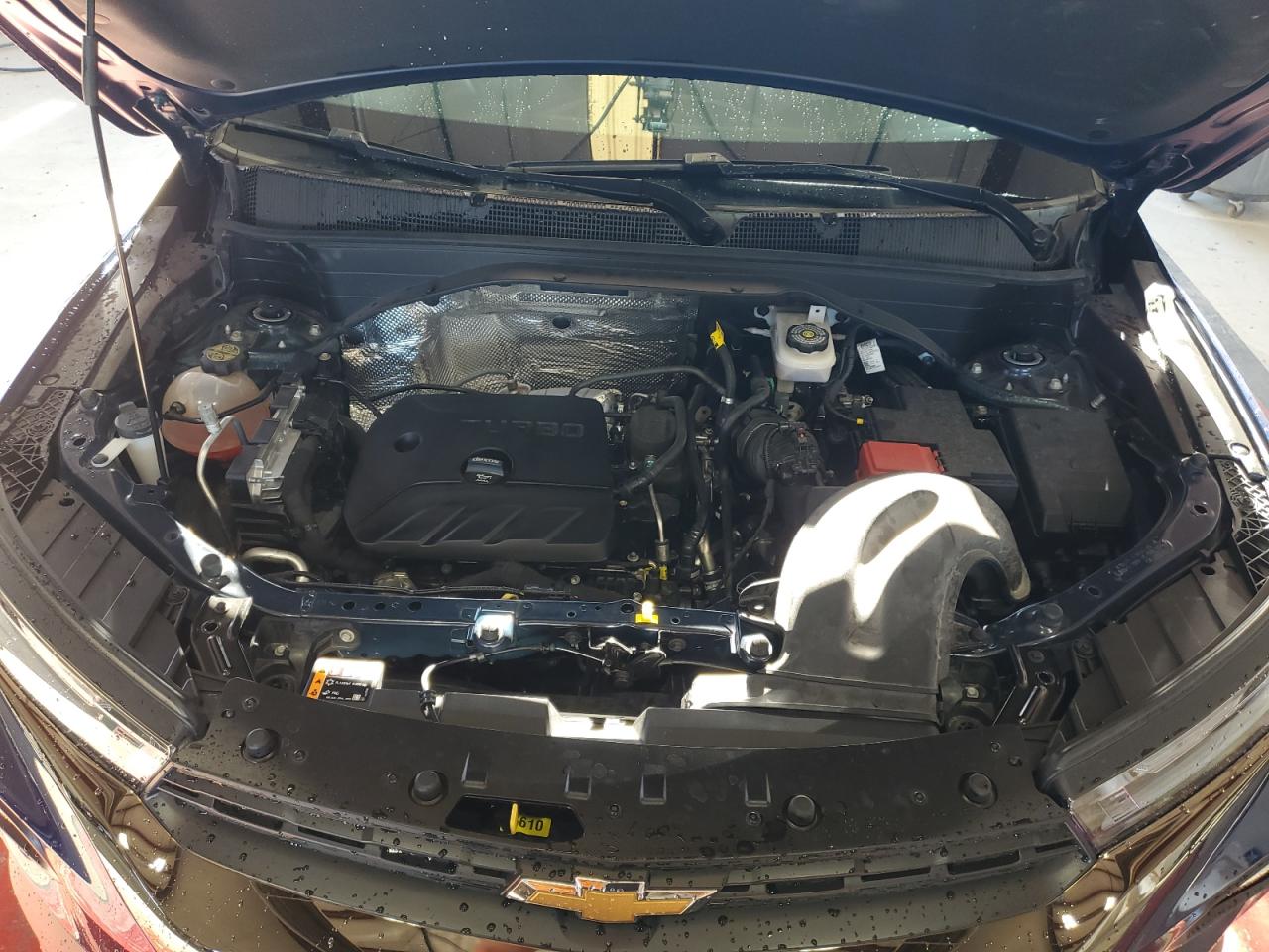 2023 Chevrolet TrailBlazer VIN KL79MVSLXPB088454 Copart auction photo, minor dent/scratches damage thumbnail 12