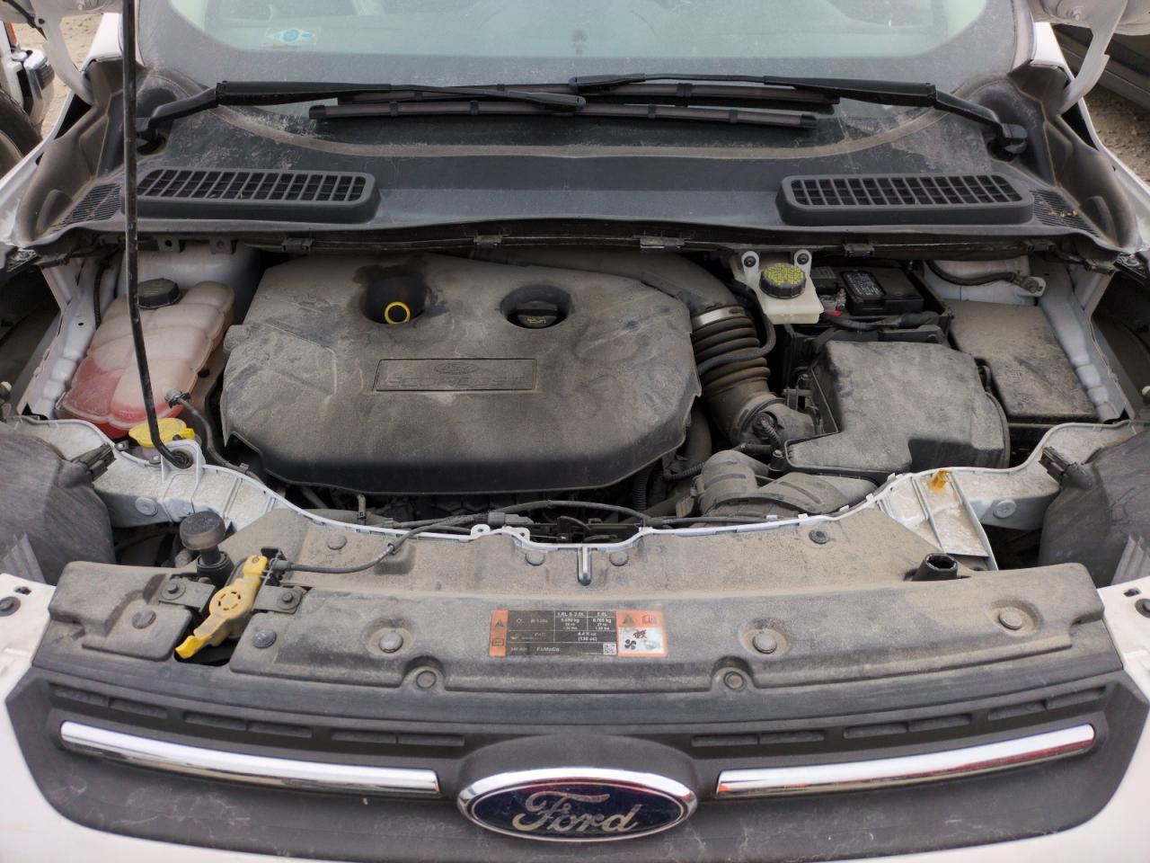 2015 Ford Escape VIN 1FMCU9G95FUA78782 Copart auction photo, side damage thumbnail 11