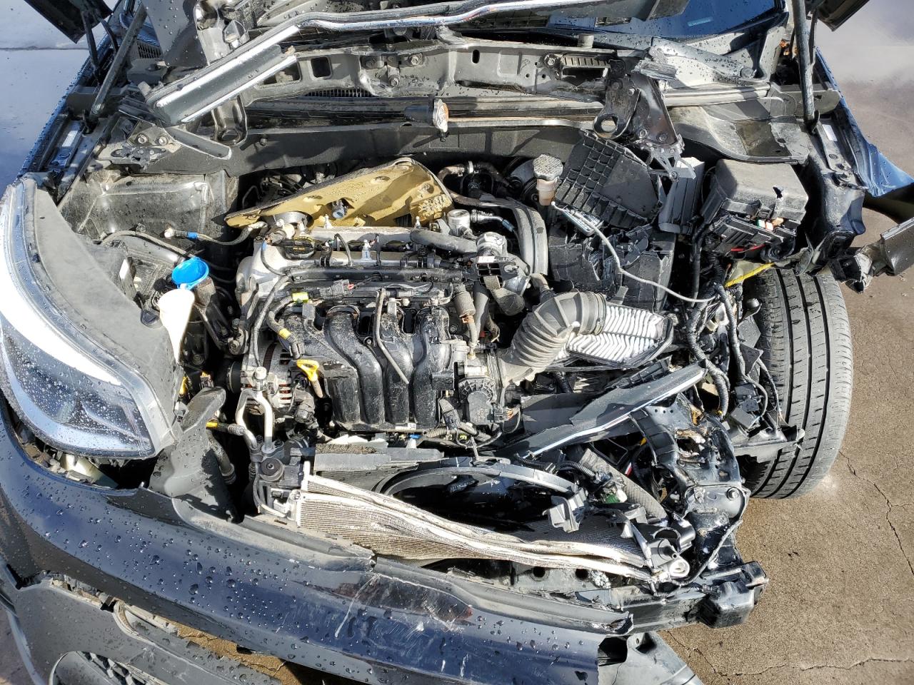 2017 KIA Soul VIN KNDJN2A2XH7422443 Copart auction photo, front end damage thumbnail 12