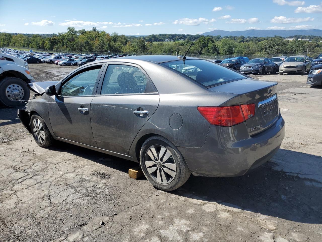 2013 KIA Forte VIN KNAFU4A29D5699186 Copart auction photo, all over damage thumbnail 2