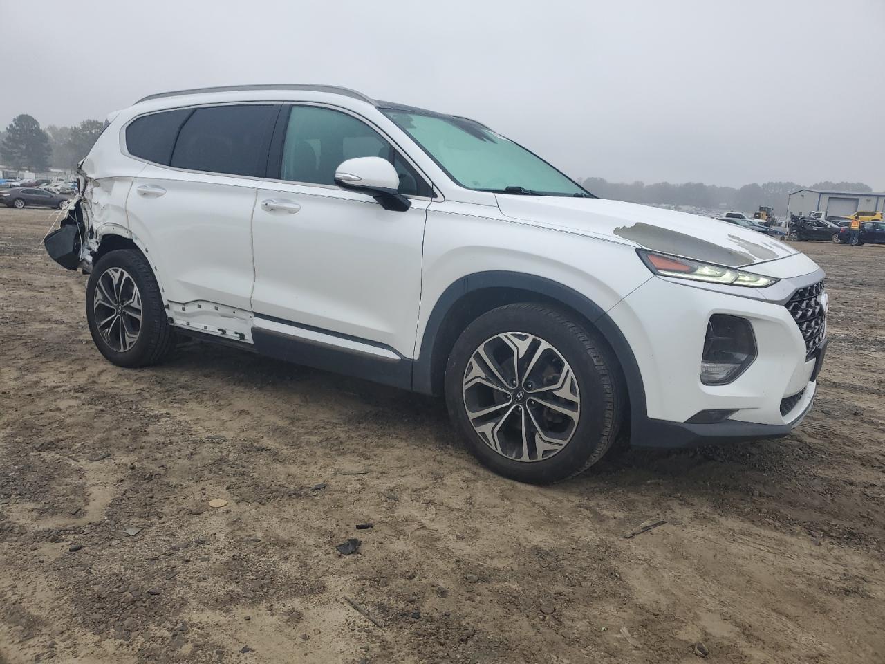2019 Hyundai Santa Fe VIN 5NMS5CAA7KH027217 Copart auction photo, rear end / side damage thumbnail 4